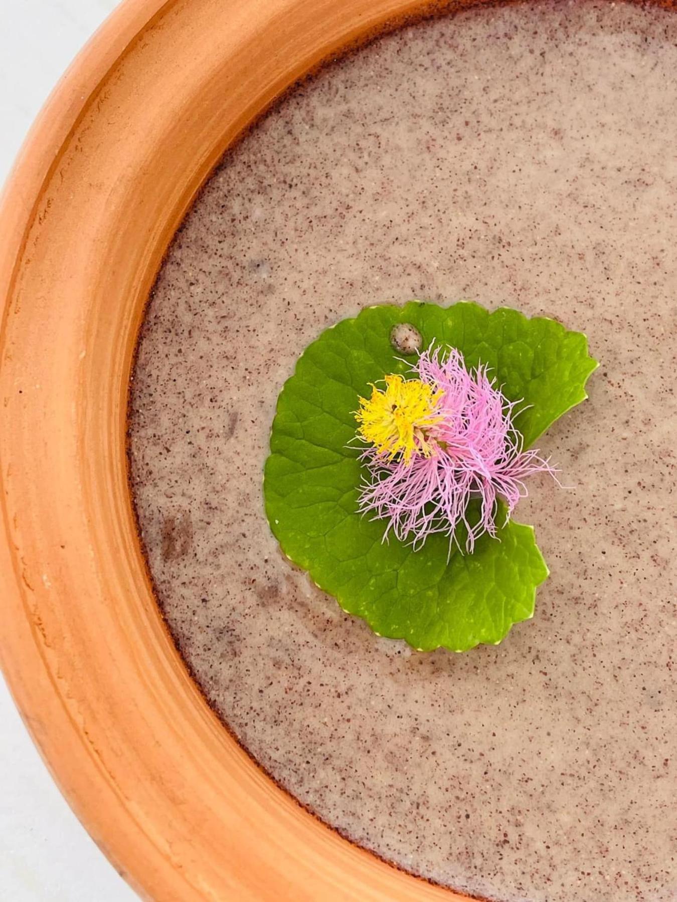 Nochchiyagama Epic Wild Wilpattu 빌라 외부 사진